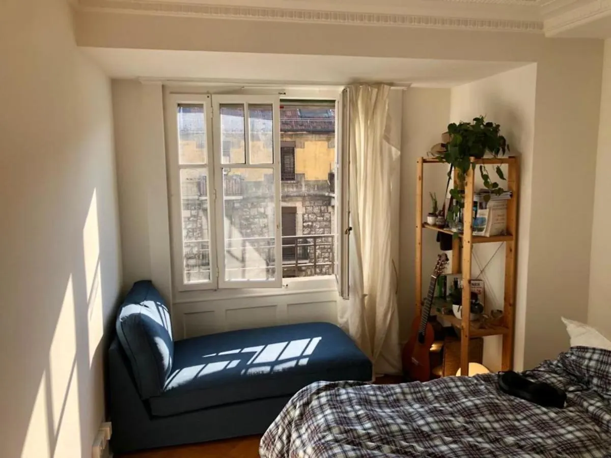 Appartement Charmant Logement A Jonction Genève Suisse